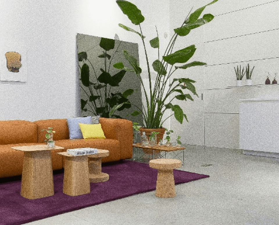 mempool fees graphic